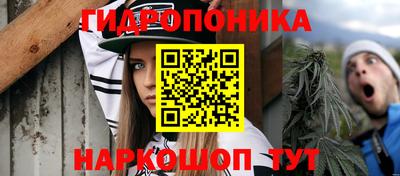 крисы Рузаевка