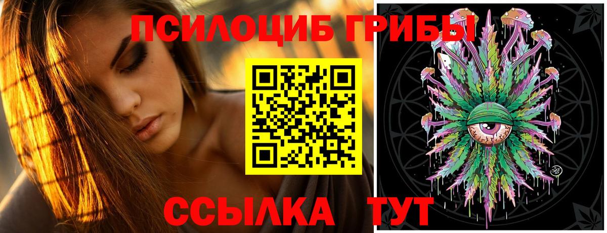 Псилоцибиновые грибы GOLDEN TEACHER Саранск